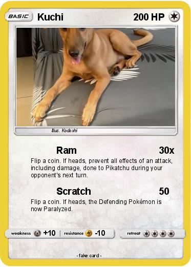 Pokemon Kuchi