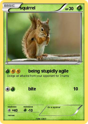 Pokemon squirrel