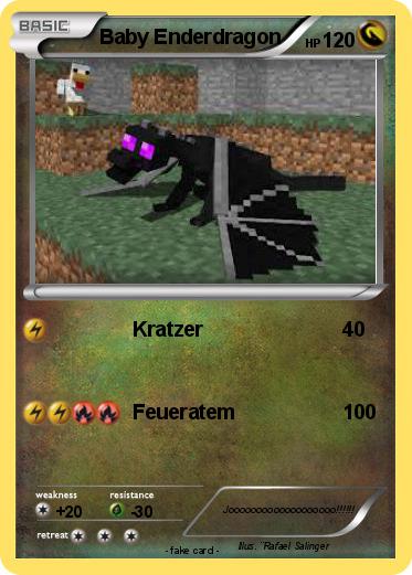 Pokemon Baby Enderdragon