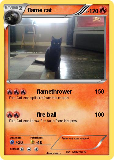 Pokemon flame cat