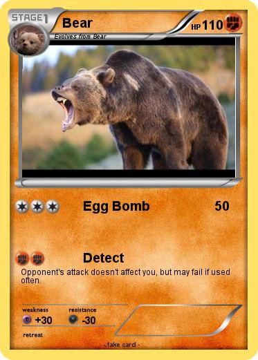 Pokemon Bear