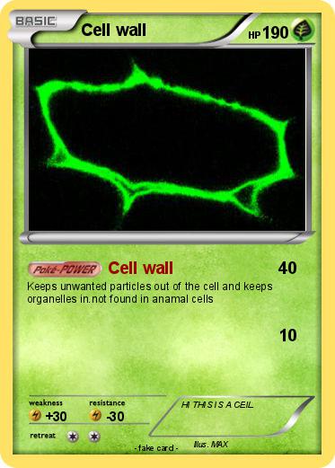 Pokemon Cell wall
