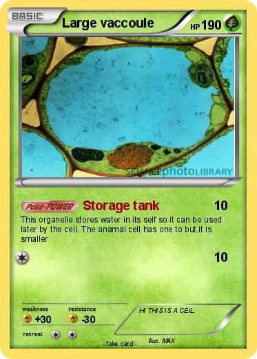 Pokemon Large vaccoule