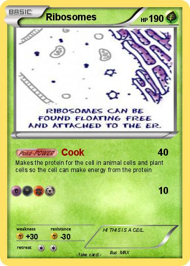 Pokemon Ribosomes