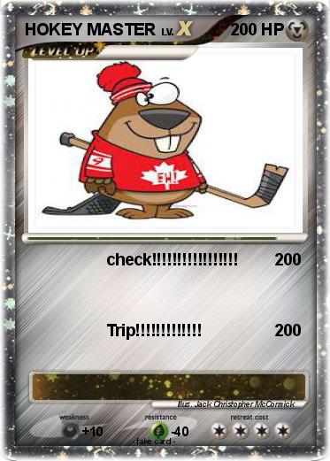 Pokemon HOKEY MASTER