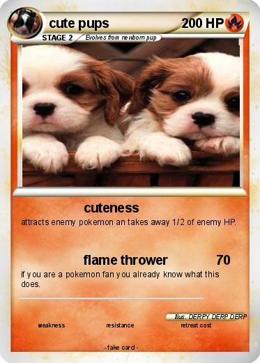 Pokemon cute pups