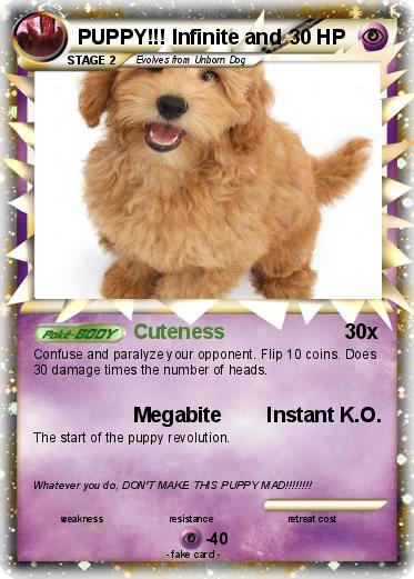 Pokemon PUPPY!!! Infinite and