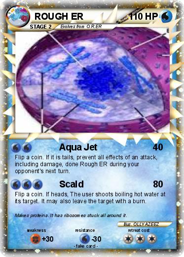Pokemon ROUGH ER