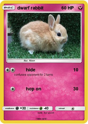 Pokemon dwarf rabbit