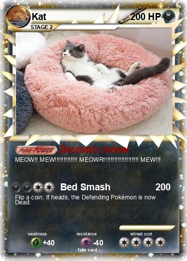 Pokemon Kat
