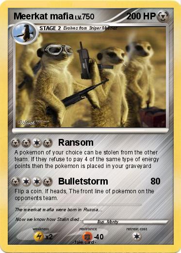 Pokemon Meerkat mafia