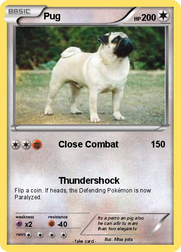 Pokemon Pug