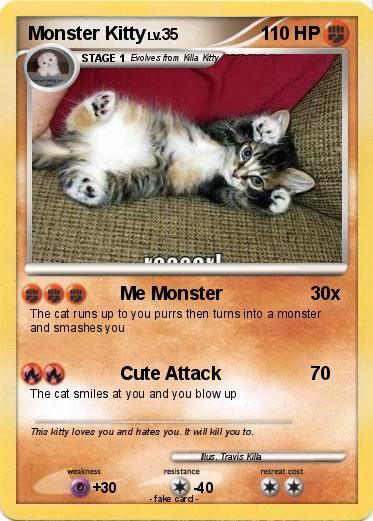 Pokemon Monster Kitty