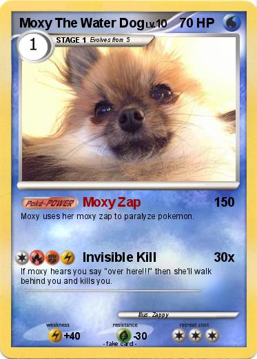 Pokemon Moxy The Water Dog