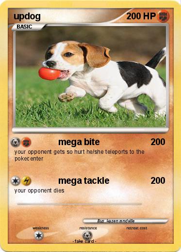 Pokemon updog