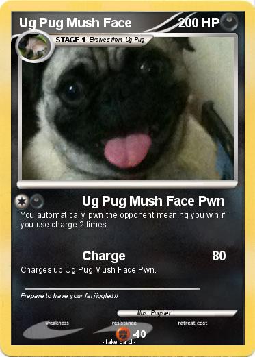 Pokemon Ug Pug Mush Face
