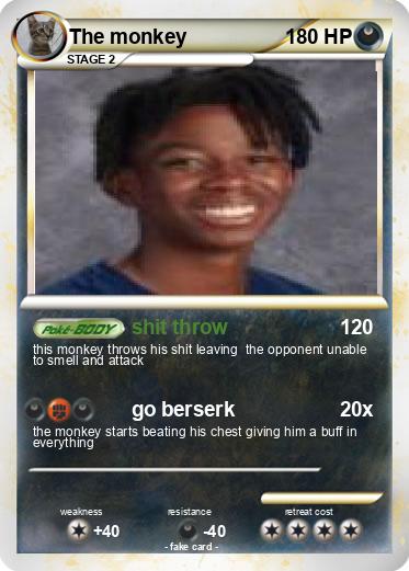 Pokemon The monkey
