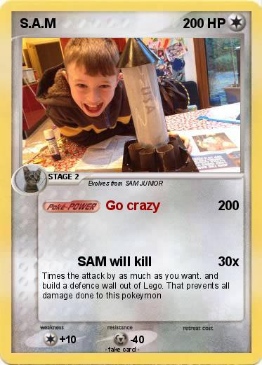 Pokemon S.A.M