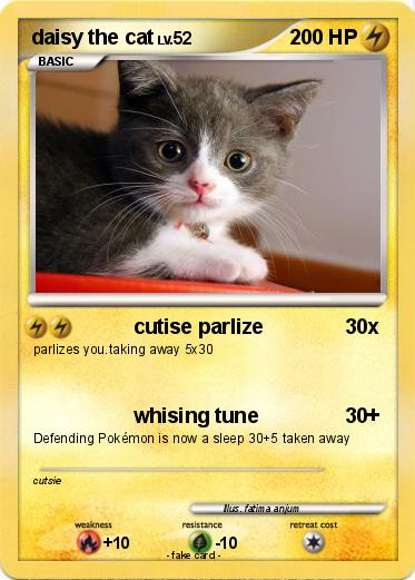 Pokemon daisy the cat
