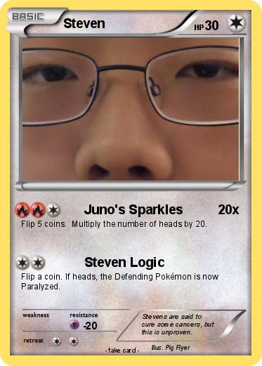 Pokemon Steven