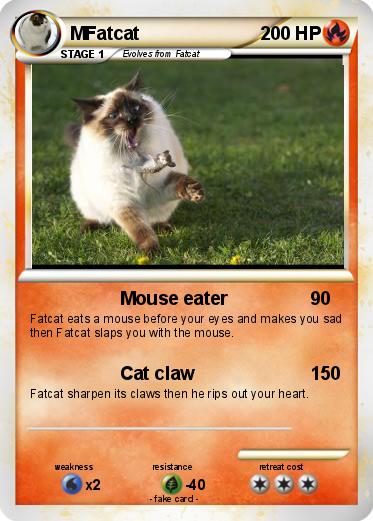 Pokemon MFatcat
