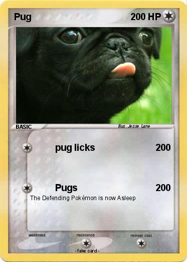 Pokemon Pug