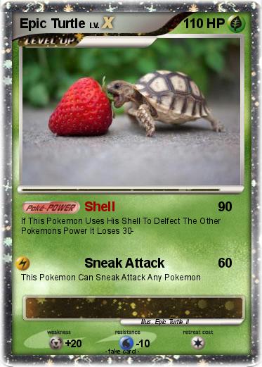 Pokemon Epic Turtle Pokemon Epic Turtle