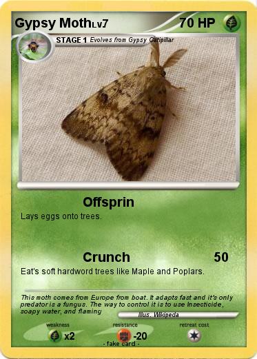 Pokemon Gypsy Moth Pokemon Gypsy Moth
