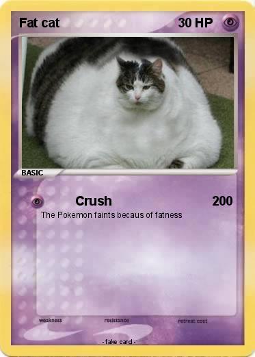 Pokemon Fat cat