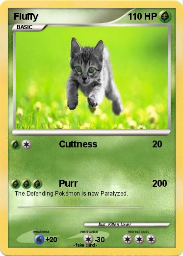 Pokemon Fluffy