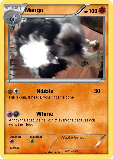 Pokemon Mango