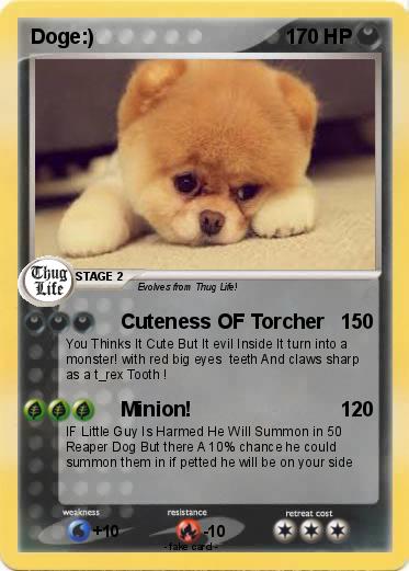 Pokemon Doge:)