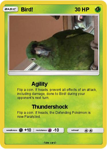 Pokemon Bird!