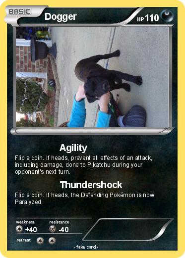 Pokemon Dogger