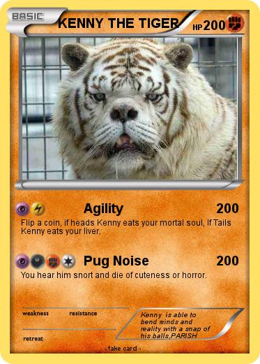 Pokemon KENNY THE TIGER