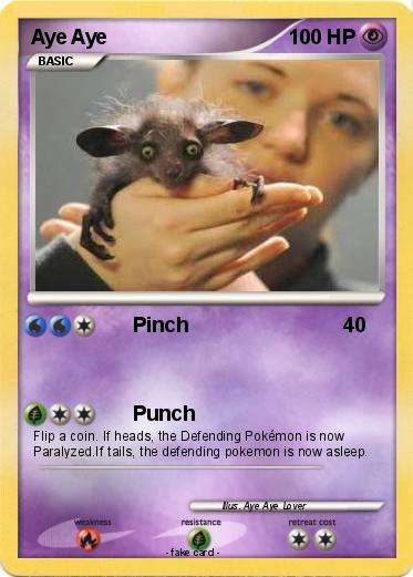 Pokemon Aye Aye
