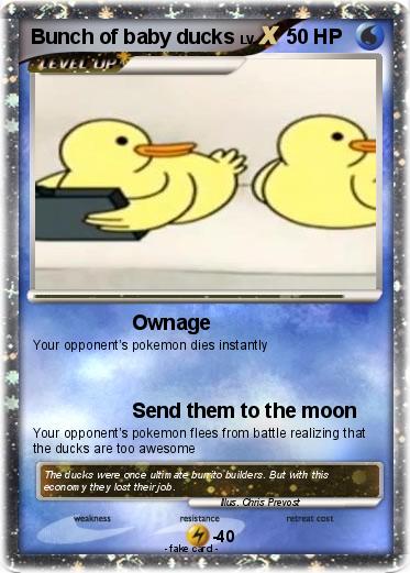 Pokemon Bunch of baby ducks