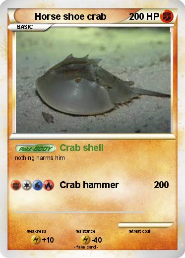 Pokemon Horse shoe crab