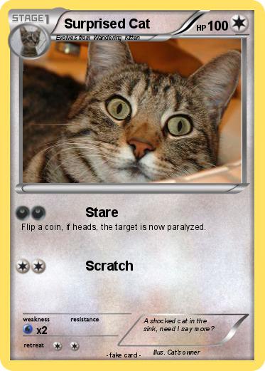 Pokemon Surprised Cat