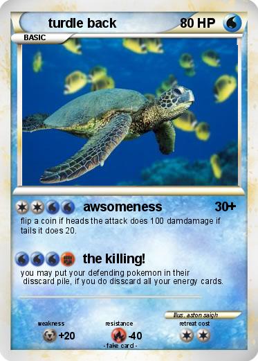 Pokemon turdle back