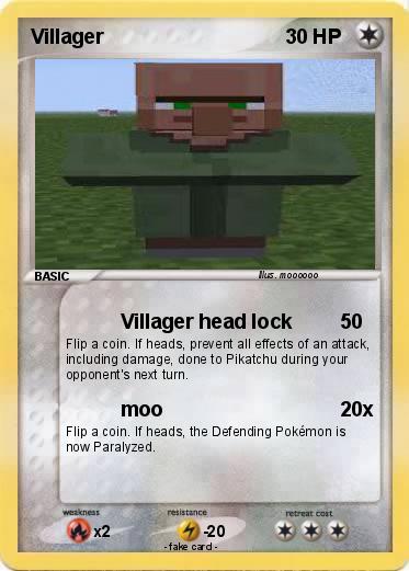 Pokemon Villager