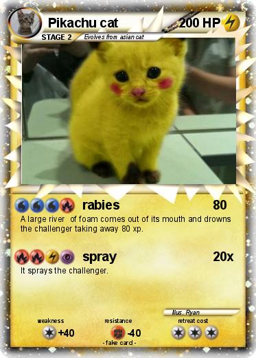 Pokemon Pikachu cat