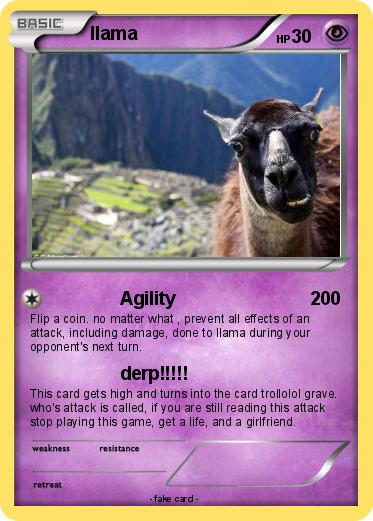 Pokemon llama