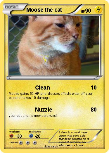 Pokemon Moose the cat