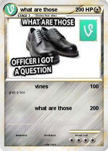 Pokemon what are those