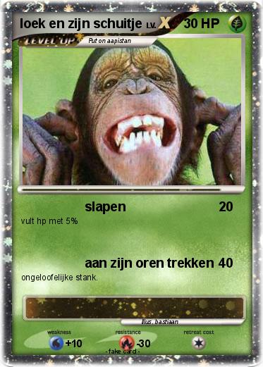 Pokemon loek en zijn schuitje