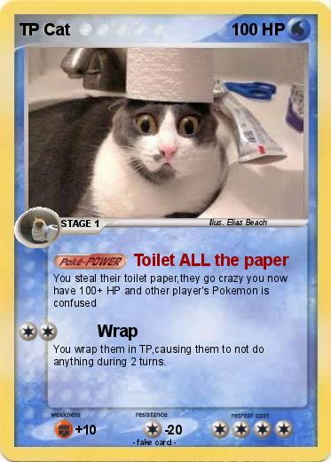 Pokemon TP Cat