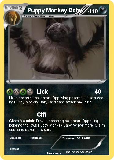 Pokemon Puppy Monkey Baby