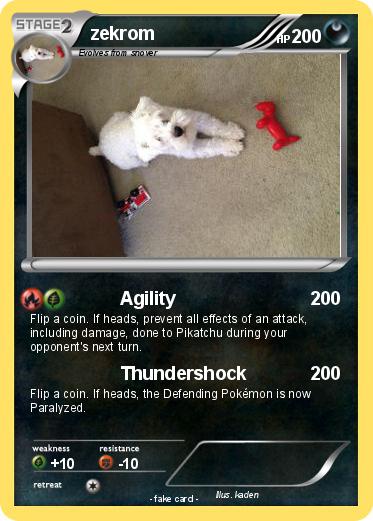 Pokemon zekrom