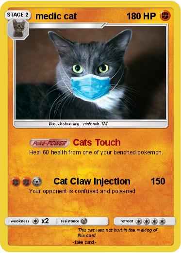 Pokemon medic cat